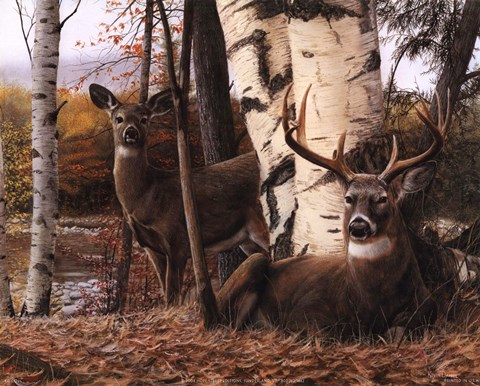 Framed Autumn&#39;s Majesty Print