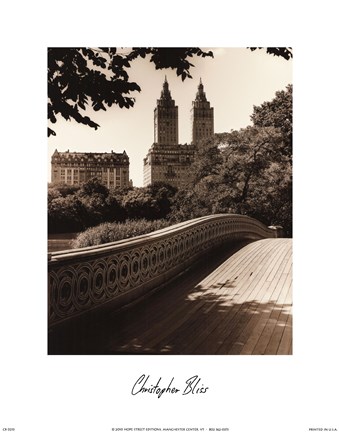 Framed Central Park Bridges I Print