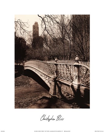Framed Central Park Bridges II Print