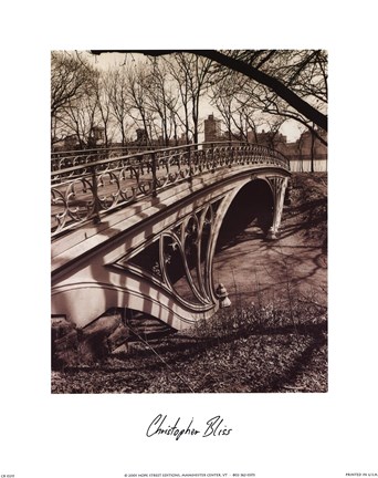 Framed Central Park Bridges III Print