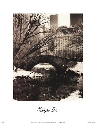 Framed Central Park Bridges IV Print