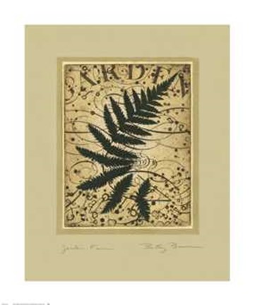 Framed Garden Fern Print