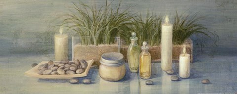 Framed Tranquil Spa II Print