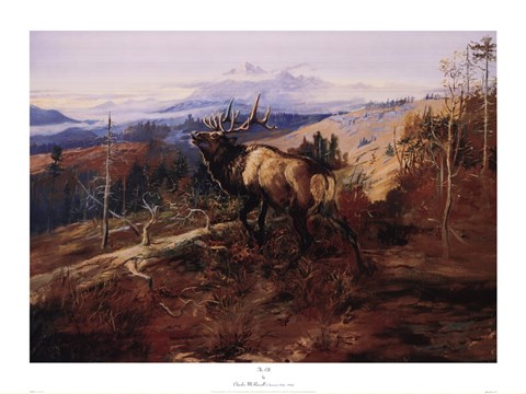 Framed Elk Print