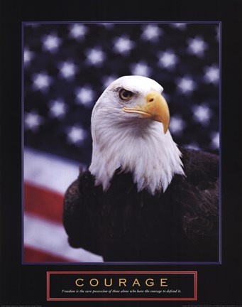 Framed Courage-Eagle Flag Print