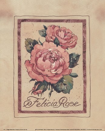 Framed Vintage Felicia Rose Print