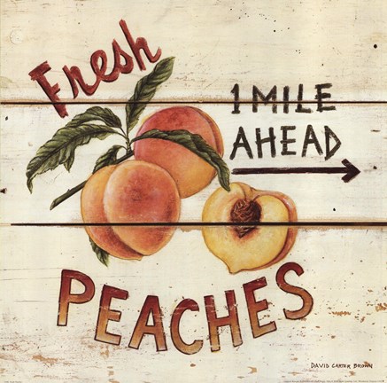 Framed Fresh Peaches Print