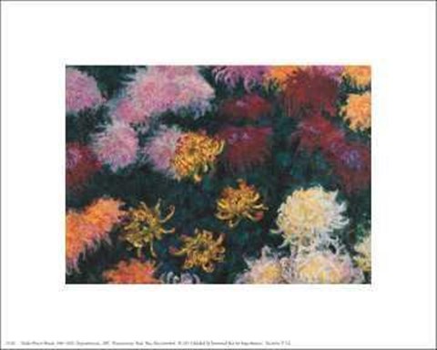 Framed Chrysanthemum, 1897 Print