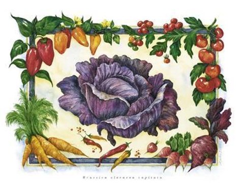 Framed Cabbage Print