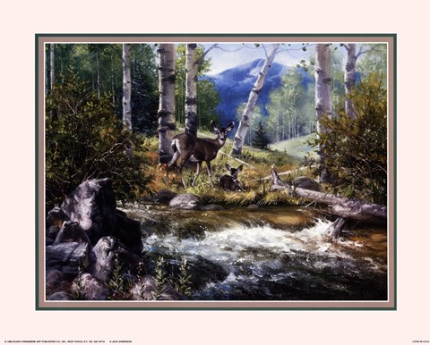 Framed Rocky Mountain Deer Print