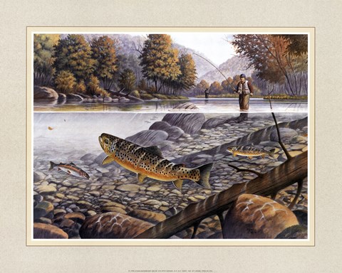 Framed Jumping Trout Print