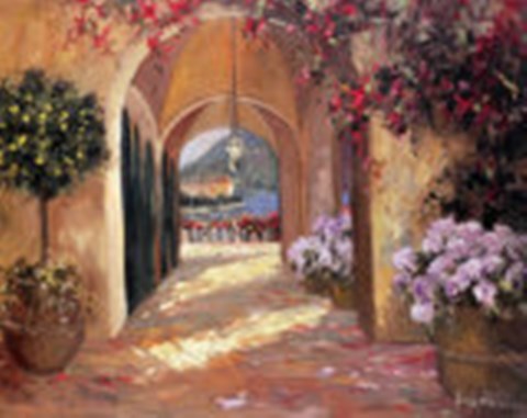 Framed Mediterranean Portico Print