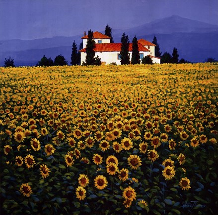 Framed Sunflowers Field Print