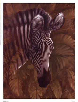 Framed Safari Zebra Print