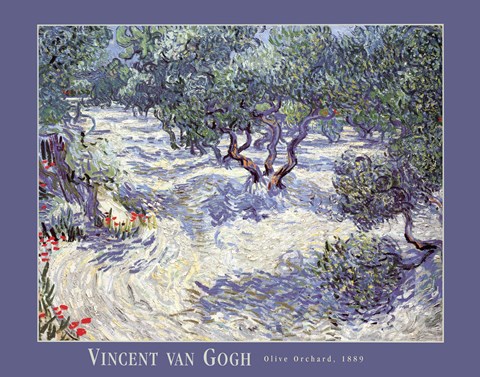 Framed Olive Orchard Print