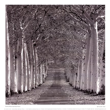 Framed Epernay, France Print