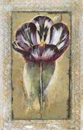 Framed Tulipa Print