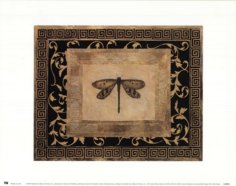 Framed Dragon Fly I Print