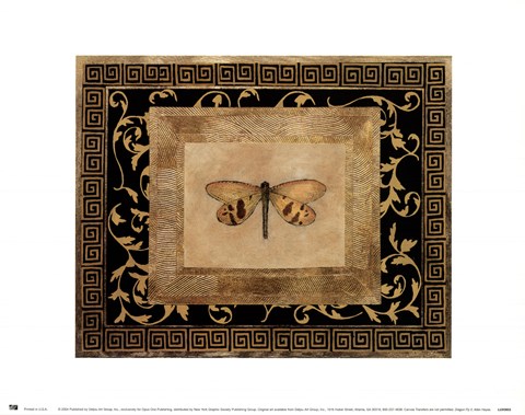 Framed Dragon Fly II Print