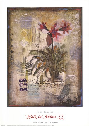 Framed Walk in Nature II Print