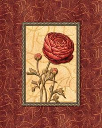 Framed Red Passion I Print