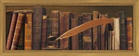Framed Librairie II Print