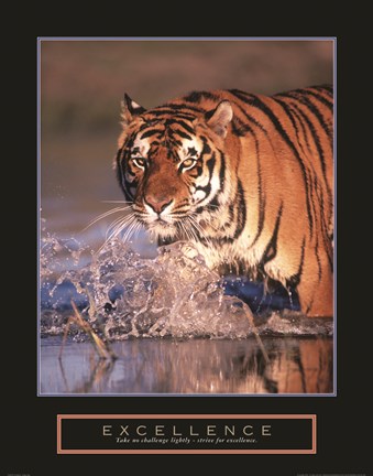 Framed Excellence - Bengal Tiger Print