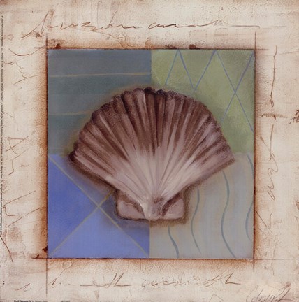 Framed Shell Accents IV Print