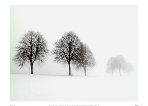 Framed Winter Trees II Print