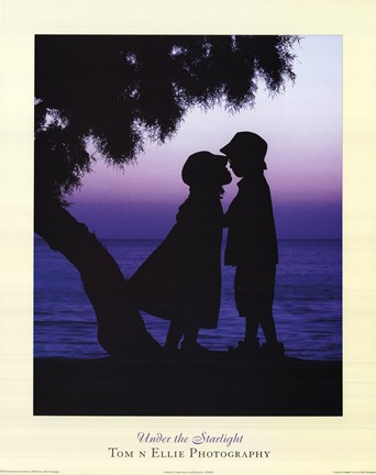 Framed Under the Starlight Print