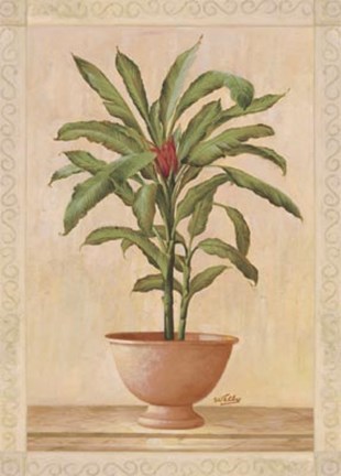 Framed Potted Palm I Print