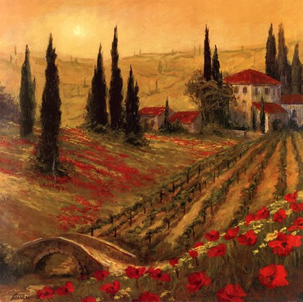 Framed Poppies Of Toscano I Print