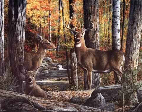 Framed Broken Silence II Print