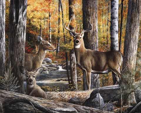 Framed Broken Silence II Print