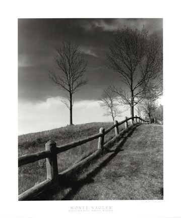 Framed Fences And Trees, Empire, Michigan Print