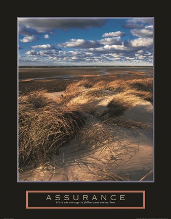 Framed Assurance - Sand Dunes Print
