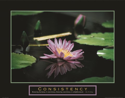 Framed Consistency - Pond Flower Print