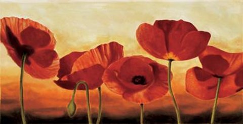 Framed In The Sun Print