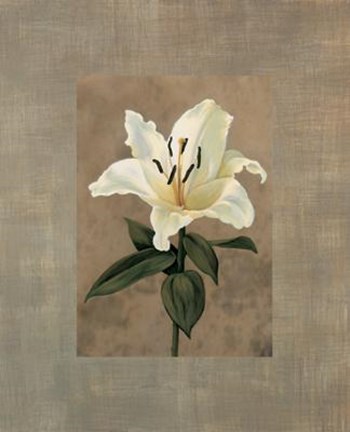 Framed Lily Print
