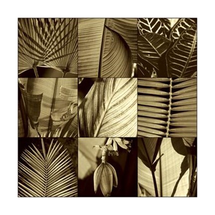 Framed Tropical Leaves I Print