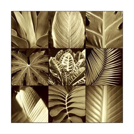 Framed Tropical Leaves II Print
