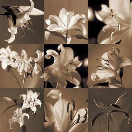 Framed Lily Garden Print