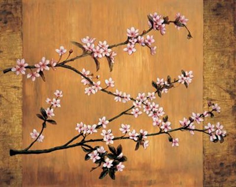 Framed Cherry Blossoms Print