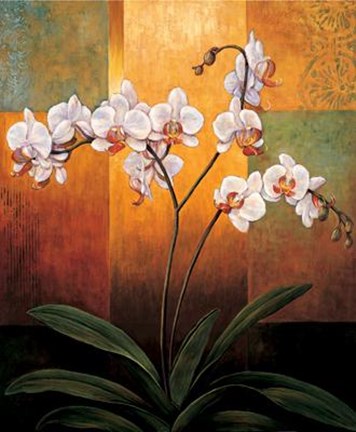 Framed Orchids Print