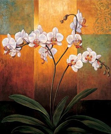 Framed Orchids Print