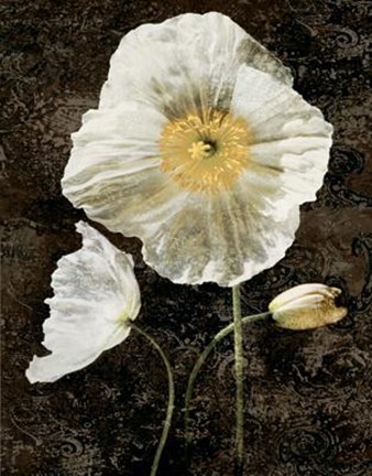 Framed Poppies II Print