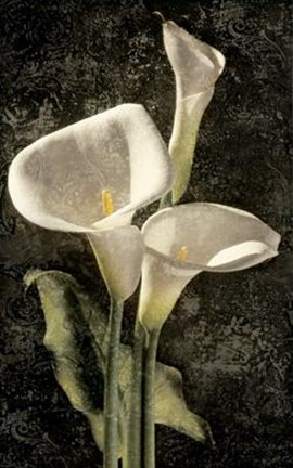Framed Callas I Print