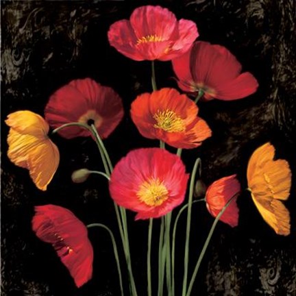 Framed Poppy Bouquet I Print