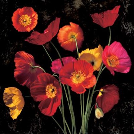 Framed Poppy Bouquet II Print