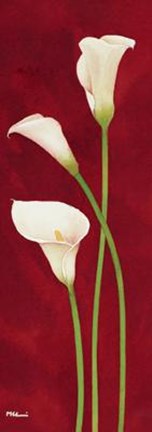 Framed Danza Di Calle Print